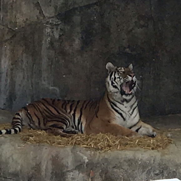 Meet your Posher, MoJo - Picture 6 of 13